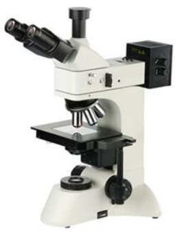 5d91547398a44.png 31123.png