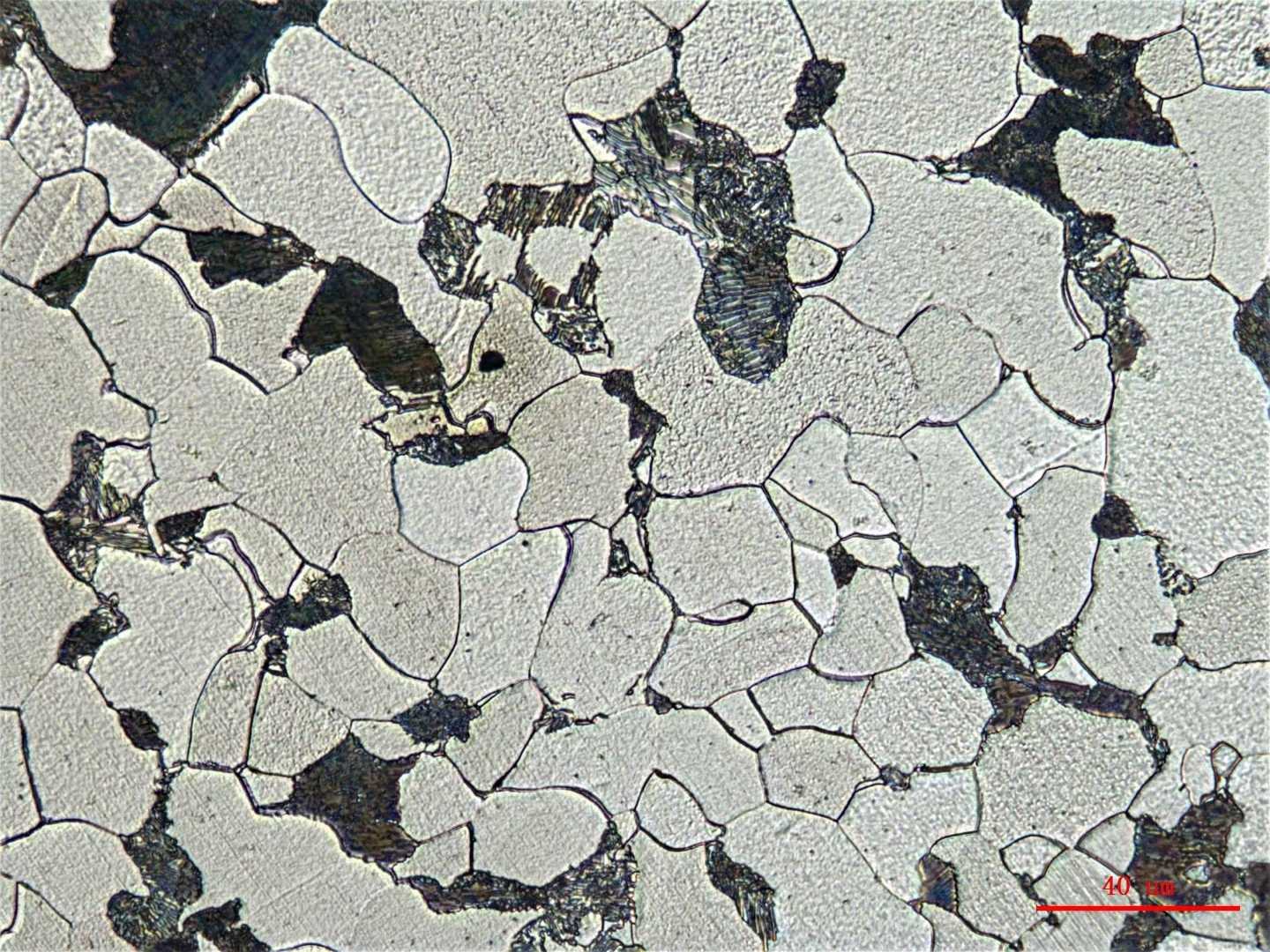 612de9acb67bb.jpg 612de9acb67bb.jpg